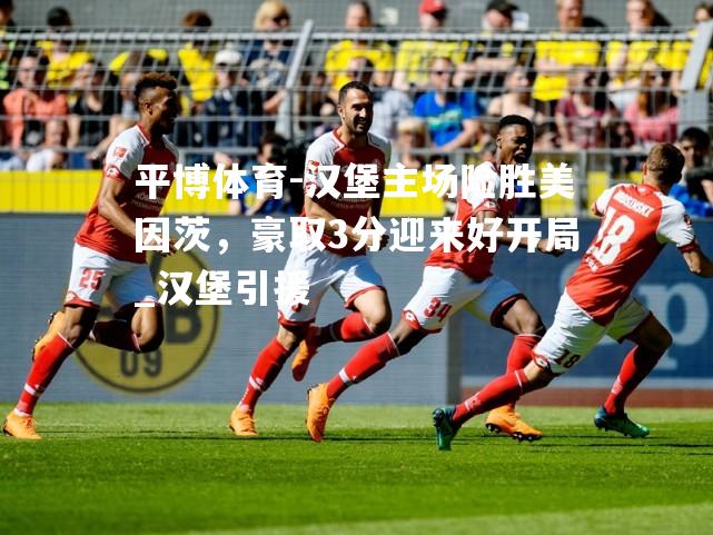 平博体育-汉堡主场险胜美因茨，豪取3分迎来好开局_汉堡引援